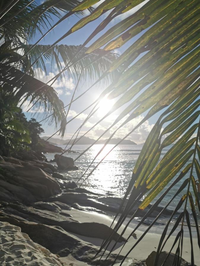 Chez Marva Grande Villa Coco 3 A 12 Personnes La Digue Eksteriør billede